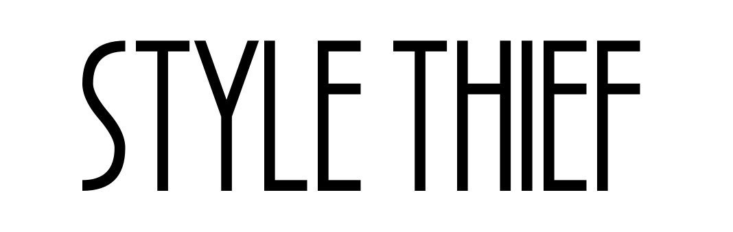Style Thief